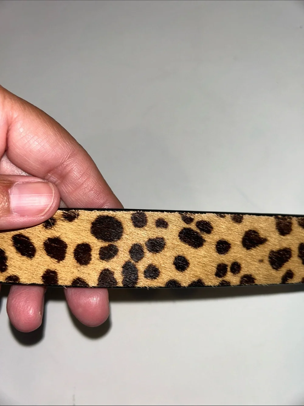 JCrew Calf Hair Belt in Leopard Print